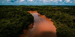 Deforestasi Amazon Brasil Turun ke Level Terendah, Ini 5 Pelajaran yang Bisa Ditiru Indonesia