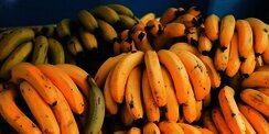 Sarapan Pisang Saja Bikin Cepat Lapar? Ahli Gizi Bagikan 3 Cara agar Lebih Mengenyangkan