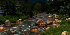 Kadar Oksigen di Laut, Sungai, dan Danau Terus Menurun, Ilmuwan Peringatkan Ancaman bagi Kehidupan