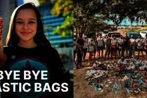 Indonesia Punya 2.391 Startup, Sumbang Rp4.531 Triliun di 2030