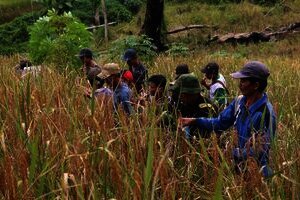 Indonesia Punya 2.391 Startup, Sumbang Rp4.531 Triliun di 2030