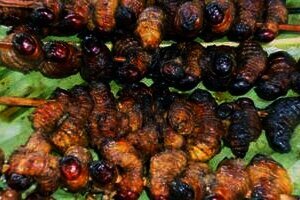 Tak Se-Ekstrem Dibayangkan, Sate Ulat Sagu dari Papua Ini Lebih Enak dari Penampakannya