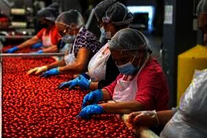 Mengapa Sampah dari Industri Makanan Berbahaya bagi Lingkungan?