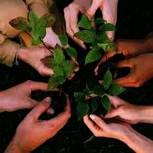 Sustainability dan Hidup Kita, Pengertian, Prinsip, dan Penerapannya