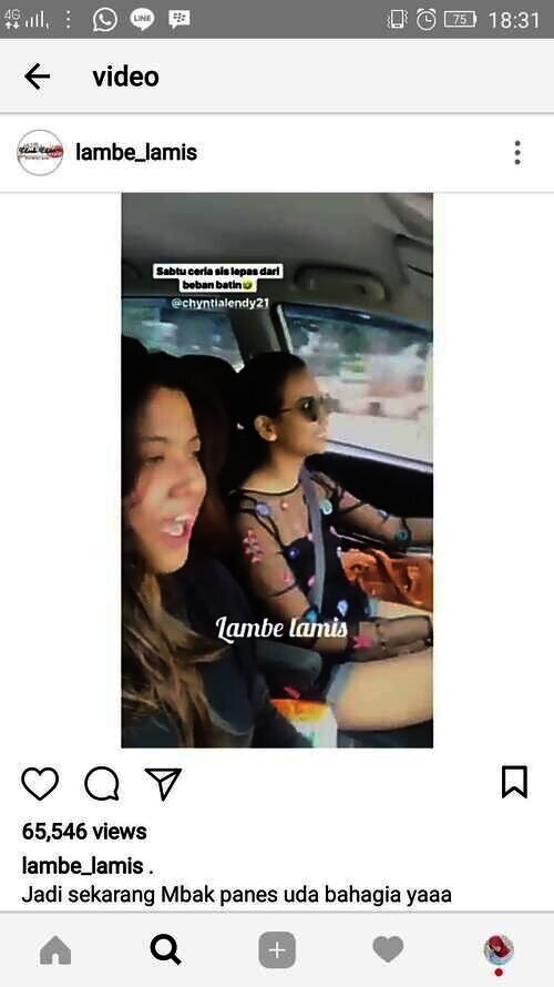 lambe lamis