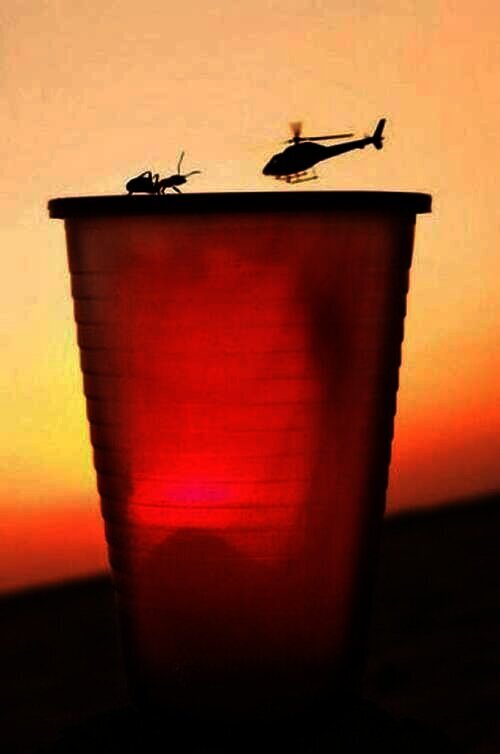 Foto Unik Tercipta Karena Faktor Keberuntungan