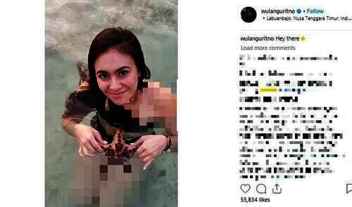 Wulan Guritno dna bintang laut