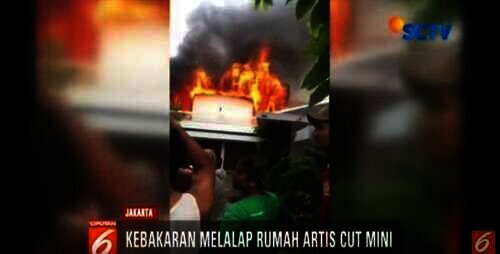 rumah cut mini