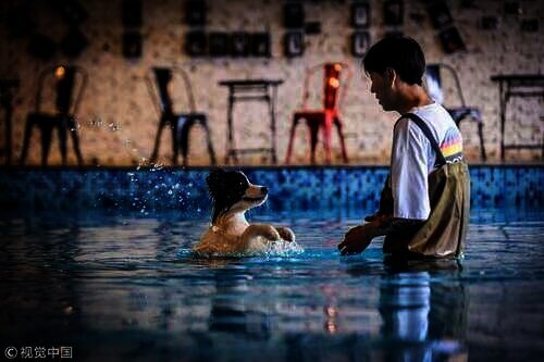 Zhou Tianxio bersama anjing collie, Syilar. Zhou Tianxio bersama anjing collie, Syilar.