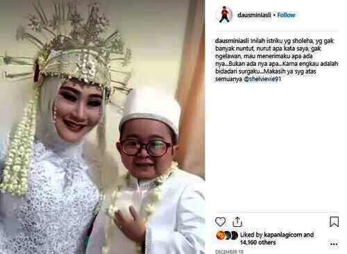 Daus Mini