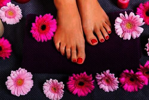 Spa Kaki