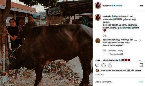 awkarin sapi