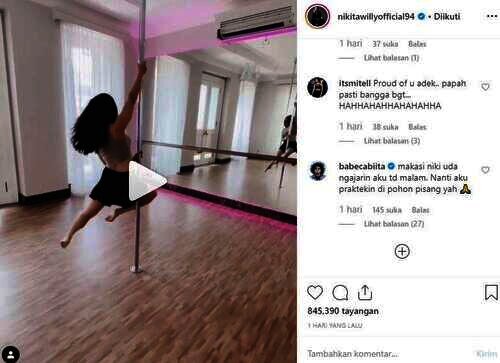 pole dance nikita willy