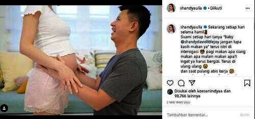 David suami Shandy Aulia