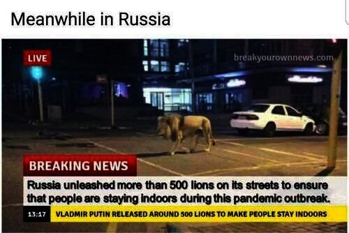 Singa di jalanan yang konon terjadi di Rusia
