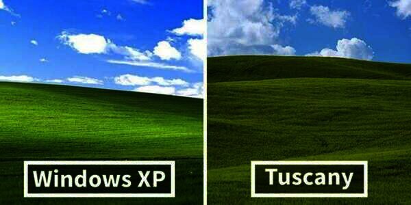 Windows Xp Layar Ingat 'Wallpaper Windows XP'? Ternyata Ini Dia Tempat Aslinya | Dream.co.id