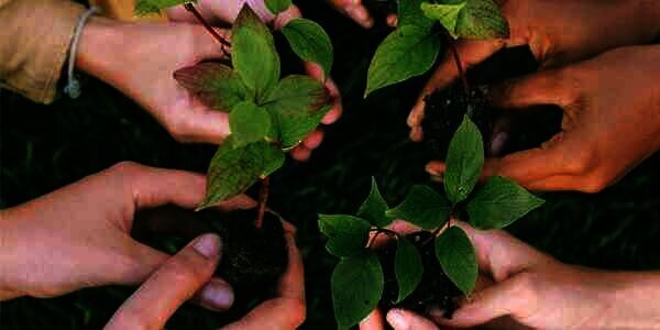 Sustainability dan Hidup Kita, Pengertian, Prinsip, dan Penerapannya