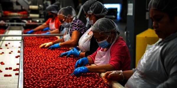 Mengapa Sampah dari Industri Makanan Berbahaya bagi Lingkungan?