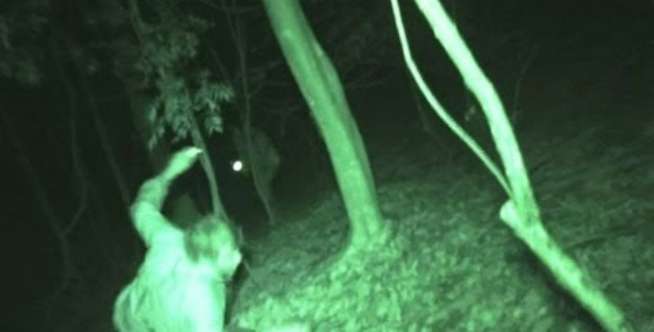 Alien di Hutan