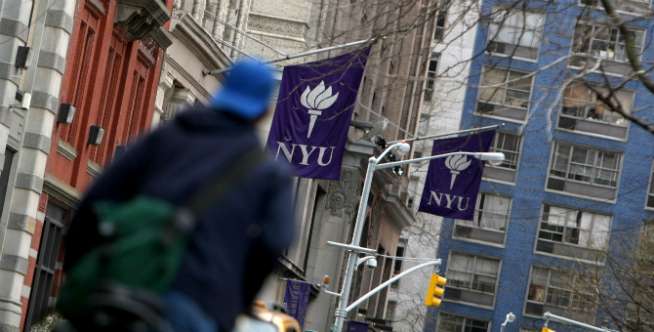 New York University