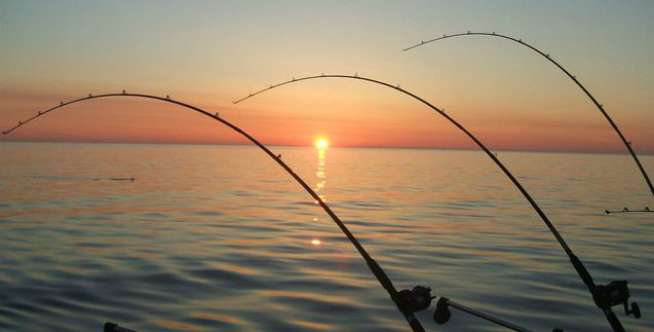 Berburu dan Memancing