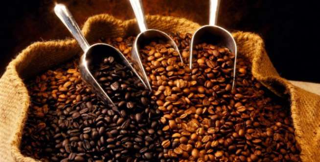 1. Kopi