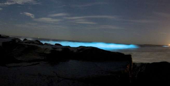 Fenomena Laut Susu