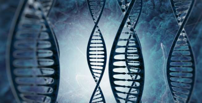 DNA Tak Bisa Terbakar