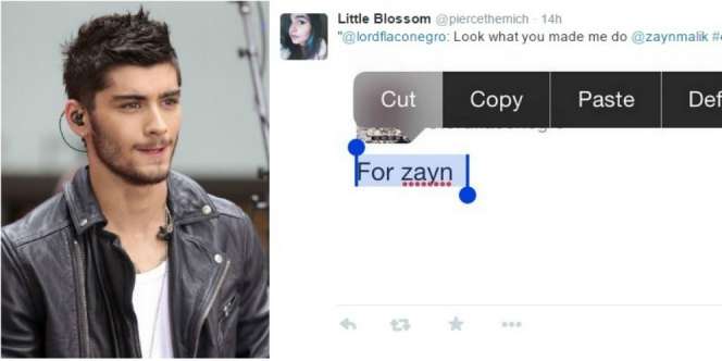 Stop #cut4zayn!