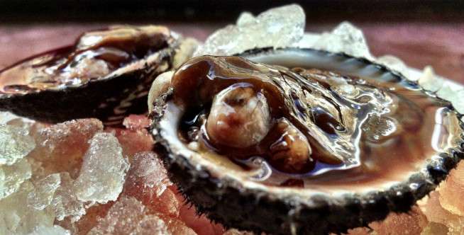 4. Kerang Darah
