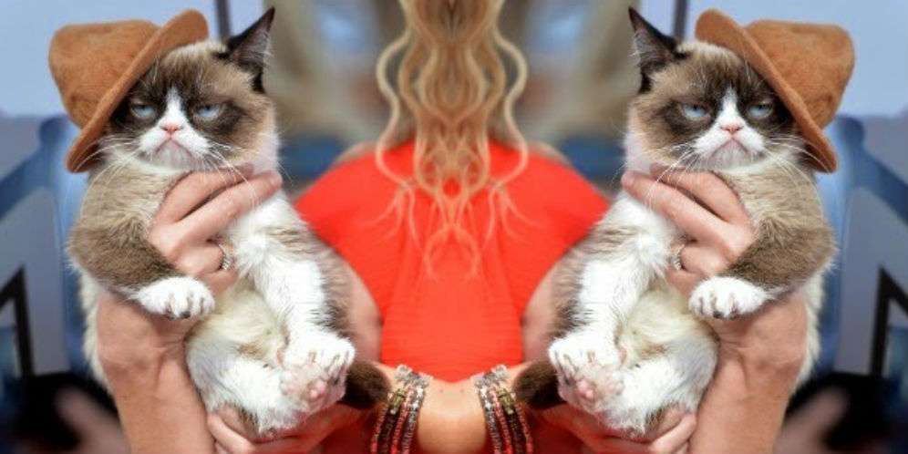 'Grumpy Cat' Kucing Terkaya di Dunia