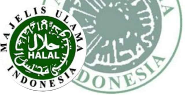 MUI Desak Konflik Yaman Segera Diakhiri