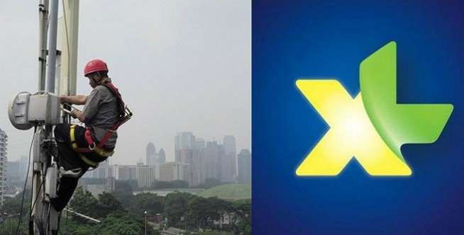 XL