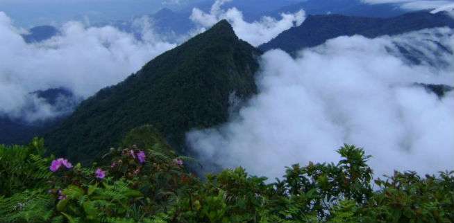 6. Menjelajahi Hutan dan Gunung di Pulau Kalimantan