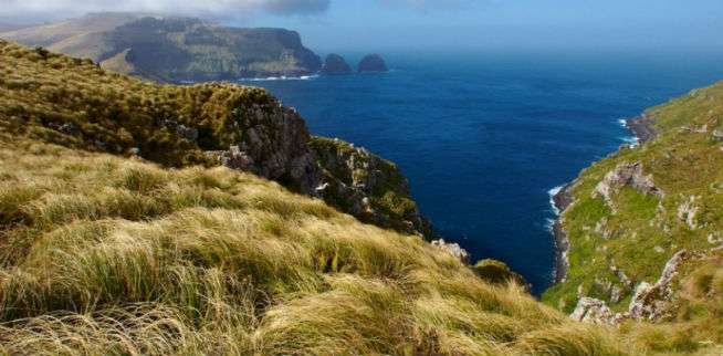 7. Emas Terpendam di Pulau Auckland