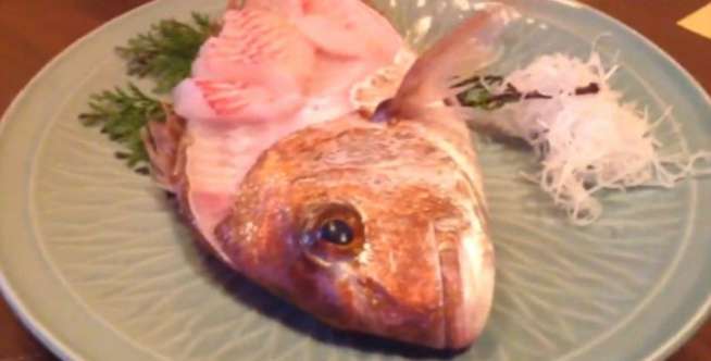 Ikan Tanpa Kepala Bergerak