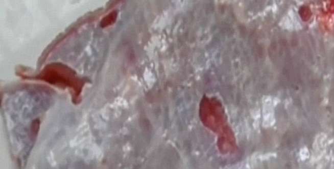 Daging Berdenyut Lagi