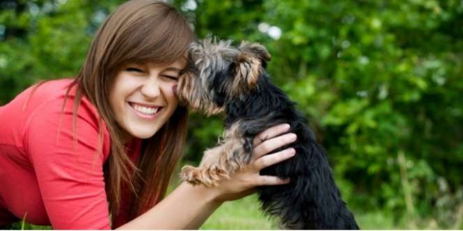 Ditinggal Majikan, Hewan Juga Bisa Menangis