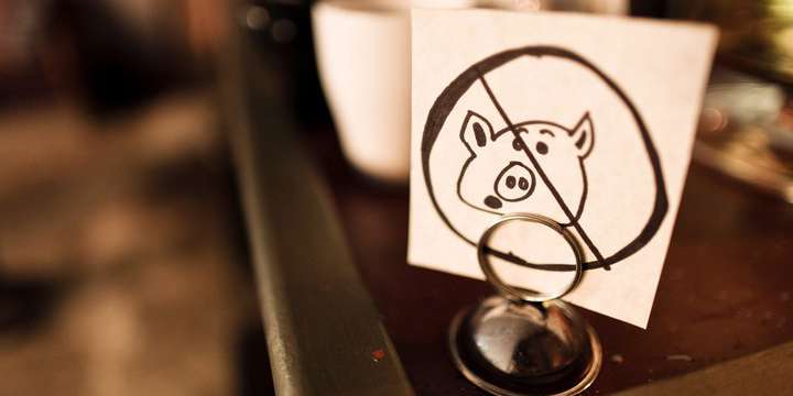 Swine