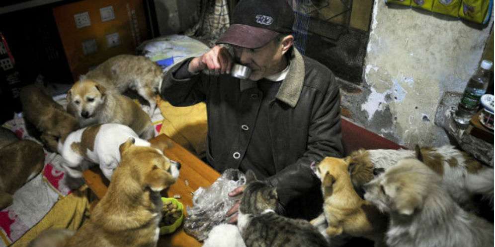 Peluk Islam Gara-gara Liur Anjing