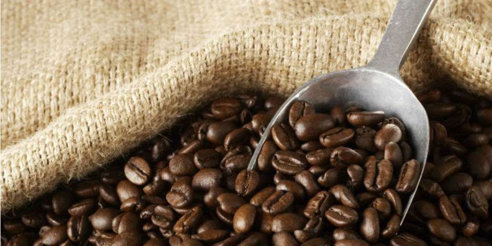 10. Kopi