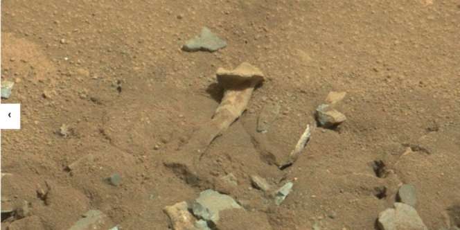 Ditemukan `Tulang Alien` di Planet Mars