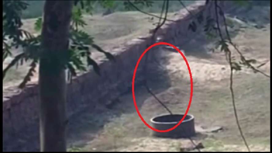 Video `Penampakan` Lompat ke Dalam Sumur