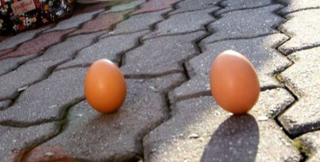 Ajaib, Telur Bisa Berdiri Saat Gerhana