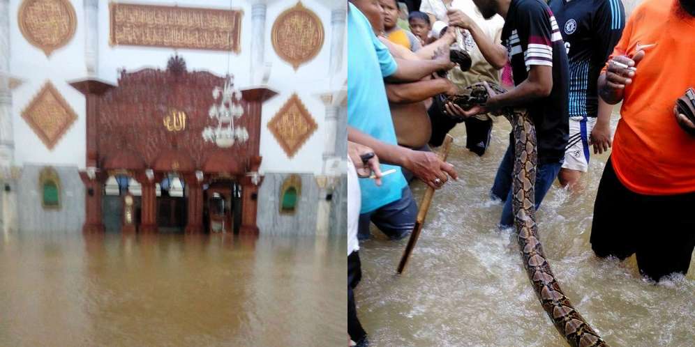 Banjir Sampang Rendam Masjid, Warga Temukan Ular Piton Raksasa