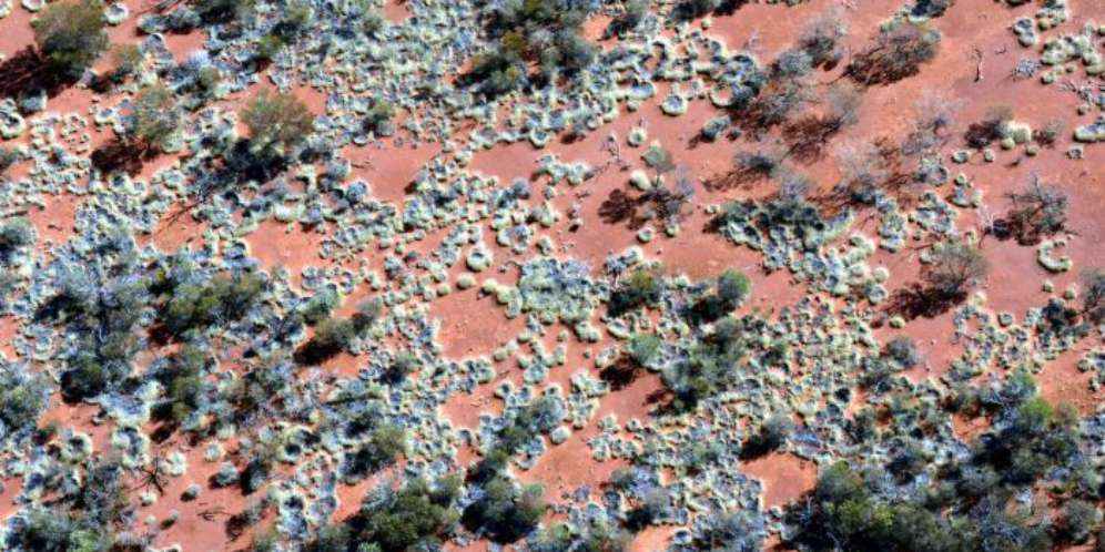 `Lingkaran Peri` Misterius Ditemukan di Australia