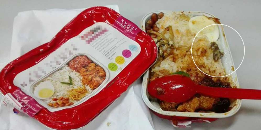 Santap Nasi Lauk Cicak, Penumpang Pesawat Keracunan