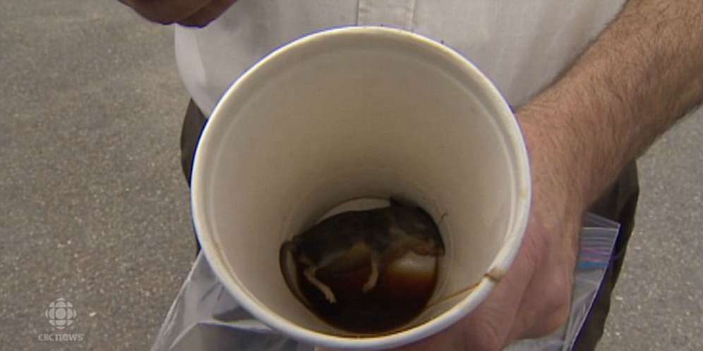 Kasus Tikus di Gelas Kopi, Pelanggan Layangkan Gugatan