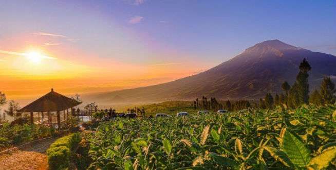 Destinasi Keren di Temanggung