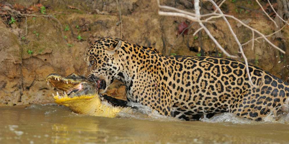 Setelah Pergulatan Berakhir...